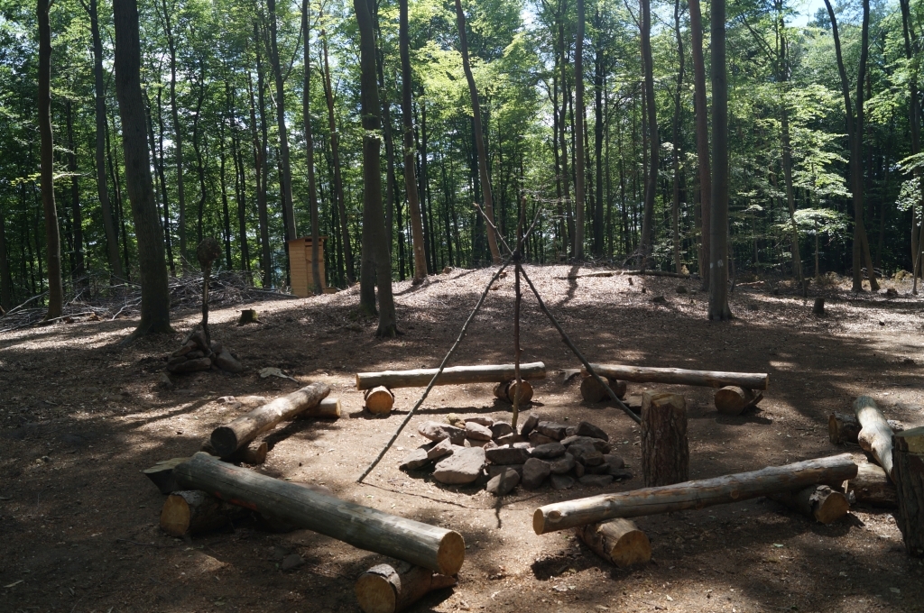 Trekkingplatz Baumstämme liegen im Kreis um eine Feuerstelle