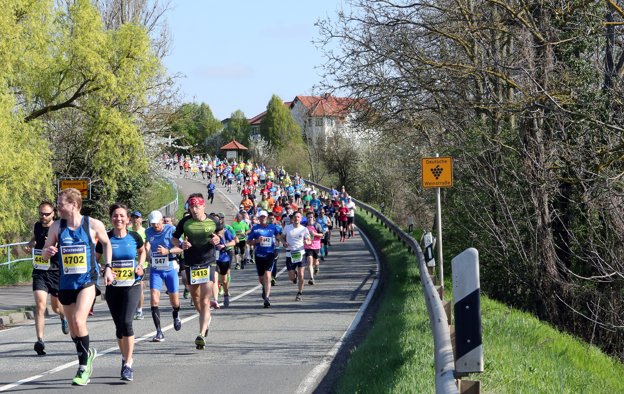 Marathonläufer auf der Weinstraße