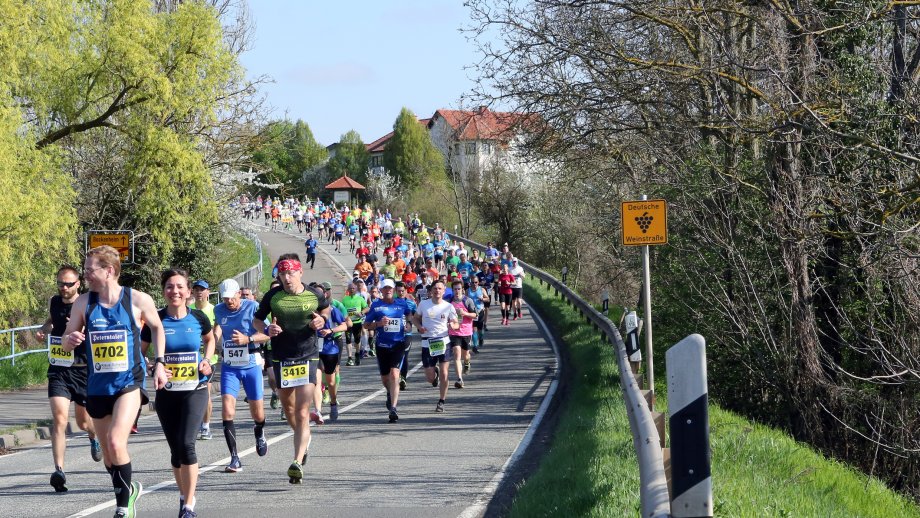 Marathonläufer auf der Weinstraße