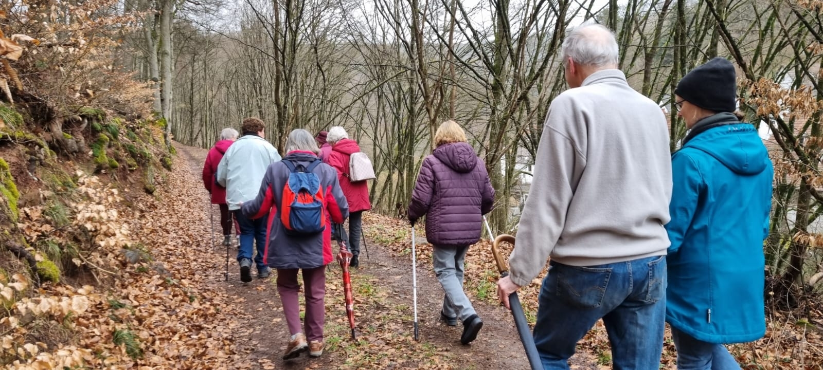 Menschen gehen im Wald spazieren