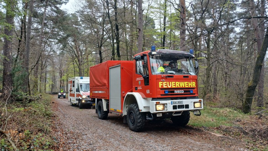 Rettungsfahrzeuge im Wald
