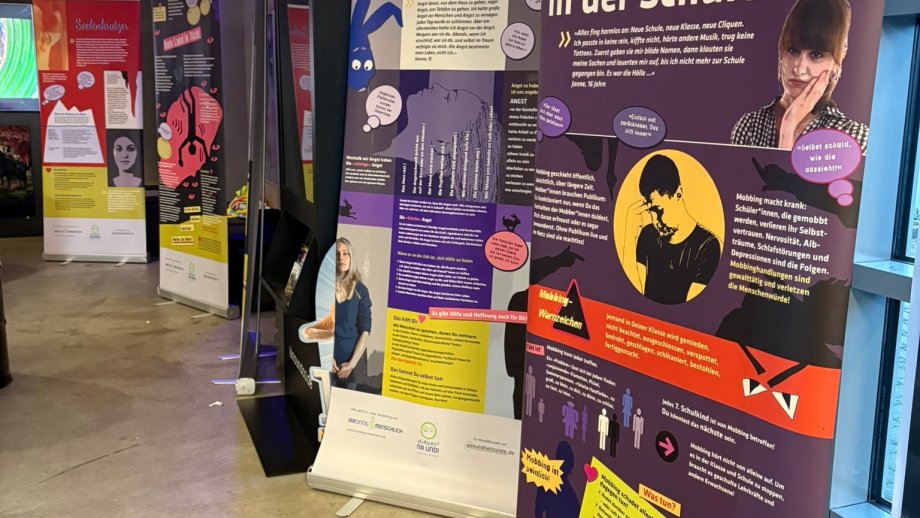 Bunte Stellwände mit Texten und Bildern.