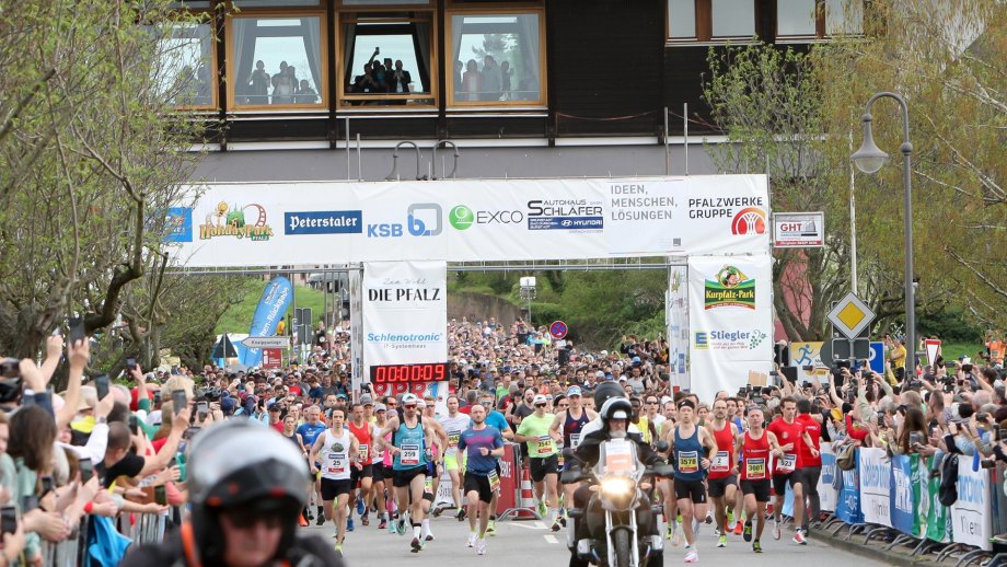 Läufer beim Start am Haus der Deutschen Weinstraße 2024.