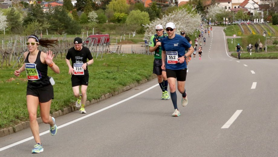 Läuferinnen und Läufer auf der Strecke an der Weinstraße 2024.