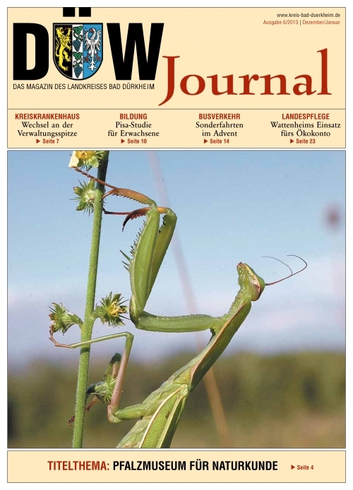 Titelbild DUEW-Journal 01 2019