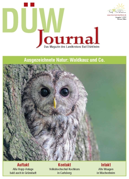 Titelbild DUEW-Journal 01 2019