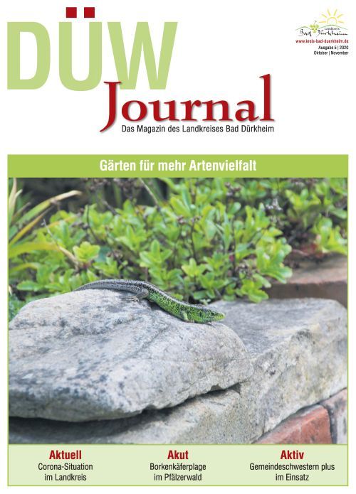 Titelbild DUEW-Journal 01 2021