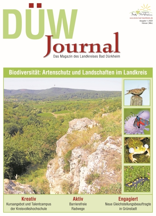 Titelbild DUEW-Journal 01 2021