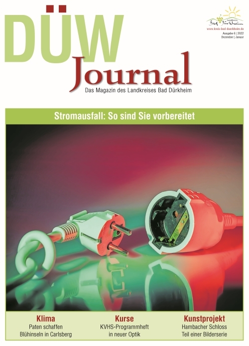 Titelbild DUEW-Journal 01 2021