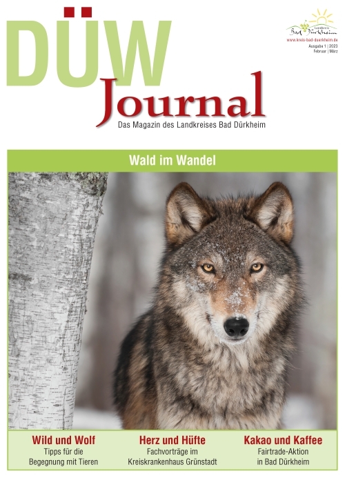 Titelbild DUEW-Journal 01 2021