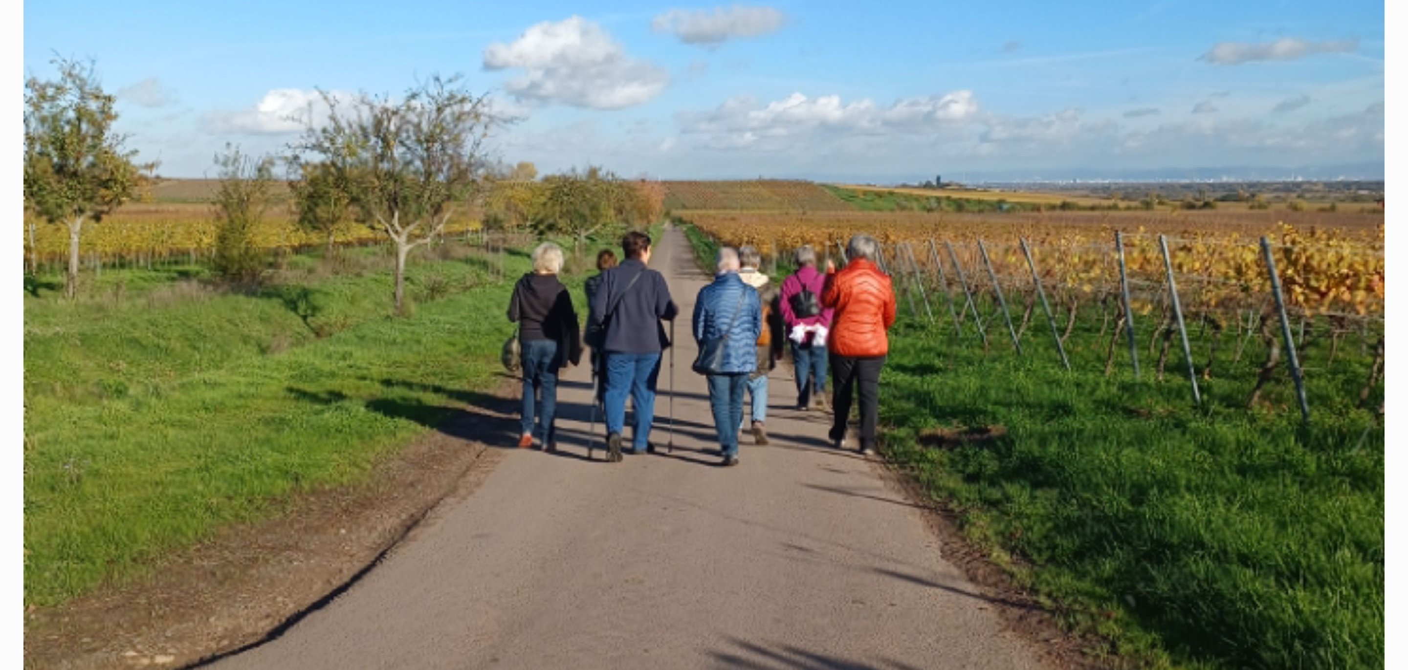 Eine Gruppe Seniorinnen mit Jacken und teilweise Walkingstöcken läuft einen Feldweg entlang. Darunter zwei Fotos im Weinberg an einem Rastplatz, wo das Schild des Bewegungsparcours steht. 
