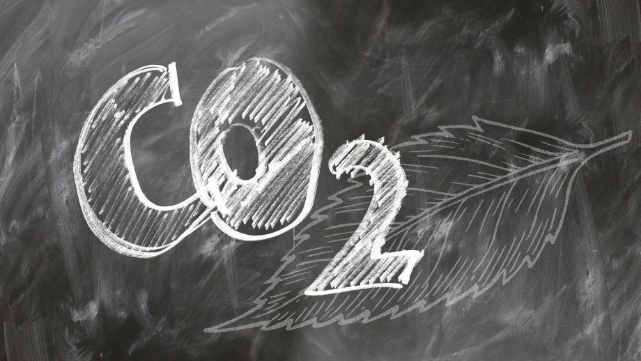 CO2 mit Kreide auf Tafel geschrieben. Daneben ist ein Blatt gemalt. 