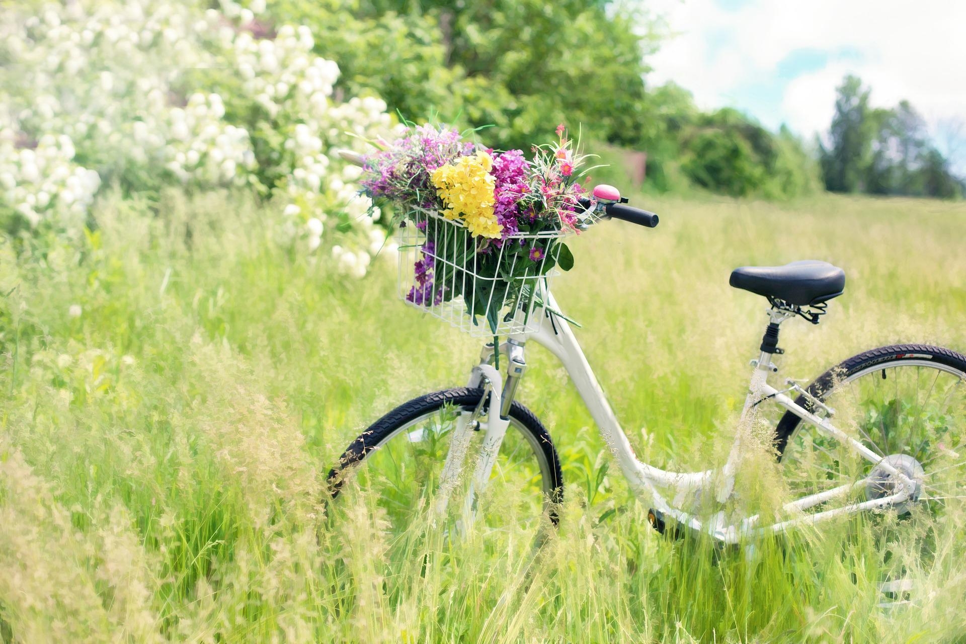 Fahrrad mit Blumen im Korb auf Wiese