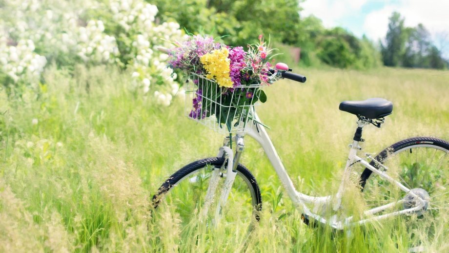 Fahrrad mit Blumen im Korb auf Wiese