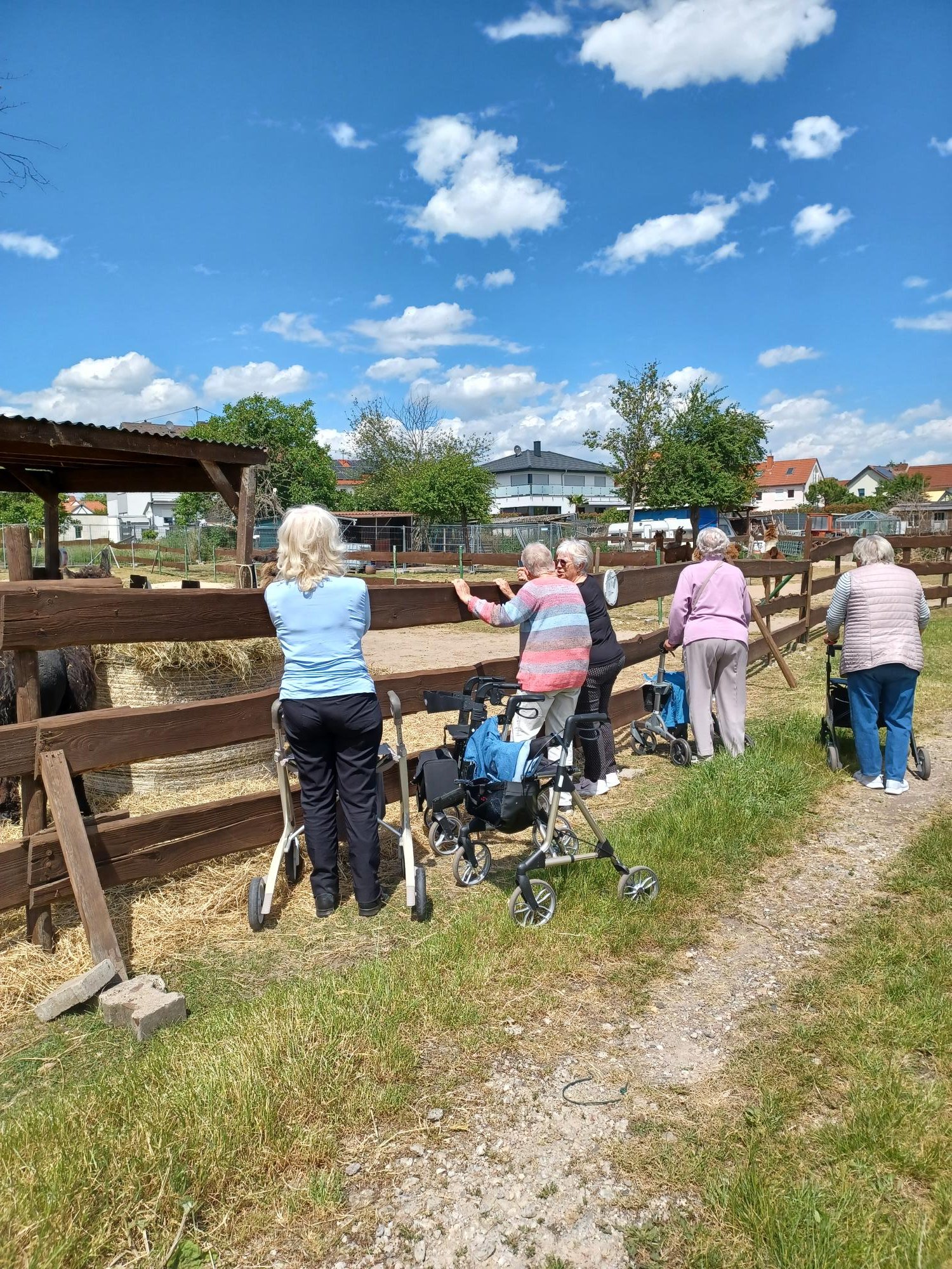 Ältere Frauen, teils mit Rollator, stehen vor einem Holzzaun und machen Bewegungsübungen. Darüber ein strahlendblauer Himmel mit weißen Wölkchen. 