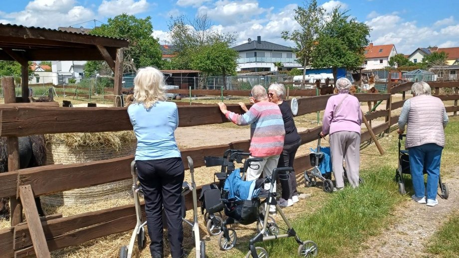 Ältere Frauen, teils mit Rollator, stehen vor einem Holzzaun und machen Bewegungsübungen. Darüber ein strahlendblauer Himmel mit weißen Wölkchen. 