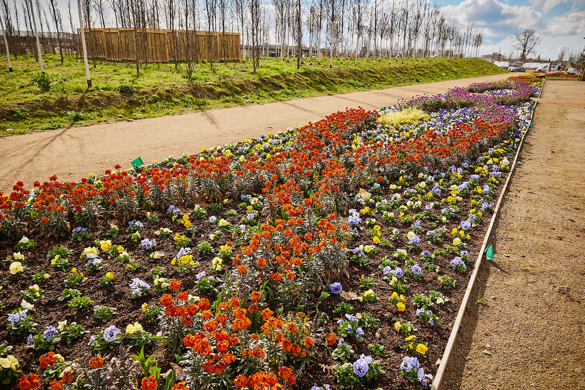 Ein bunt bepflanztes Blumenbeet, links und rechts davon Wege, im Hintergrund schmale, junge Bäume ohne Laub. 