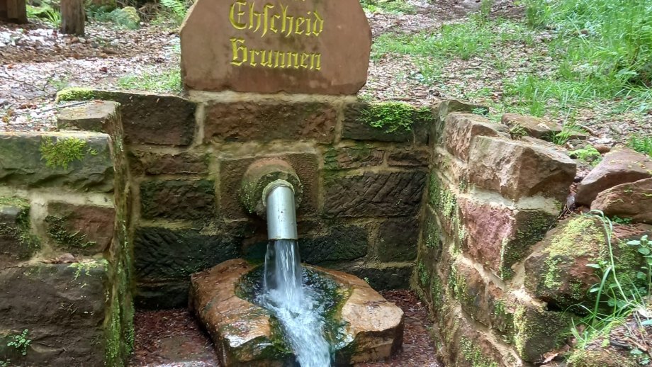 Ein Brunnen im Wald, der aus einem Rohr aus einer Sandsteinmauer in ein Becken fließt. Auf einem Stück Standstein darüber steht "kleine Ehscheid Brunnen".