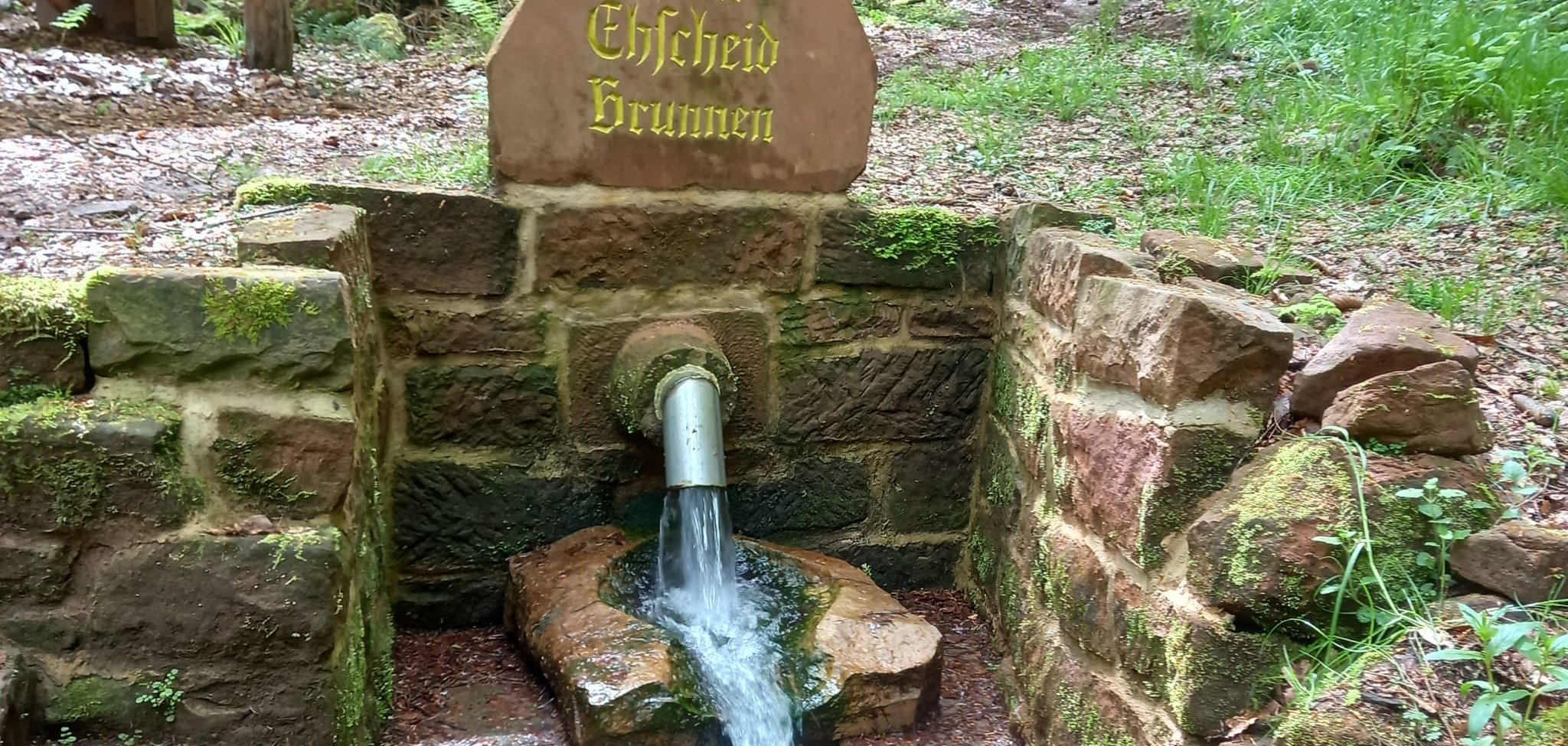 Ein Brunnen im Wald, der aus einem Rohr aus einer Sandsteinmauer in ein Becken fließt. Auf einem Stück Standstein darüber steht "kleine Ehscheid Brunnen".