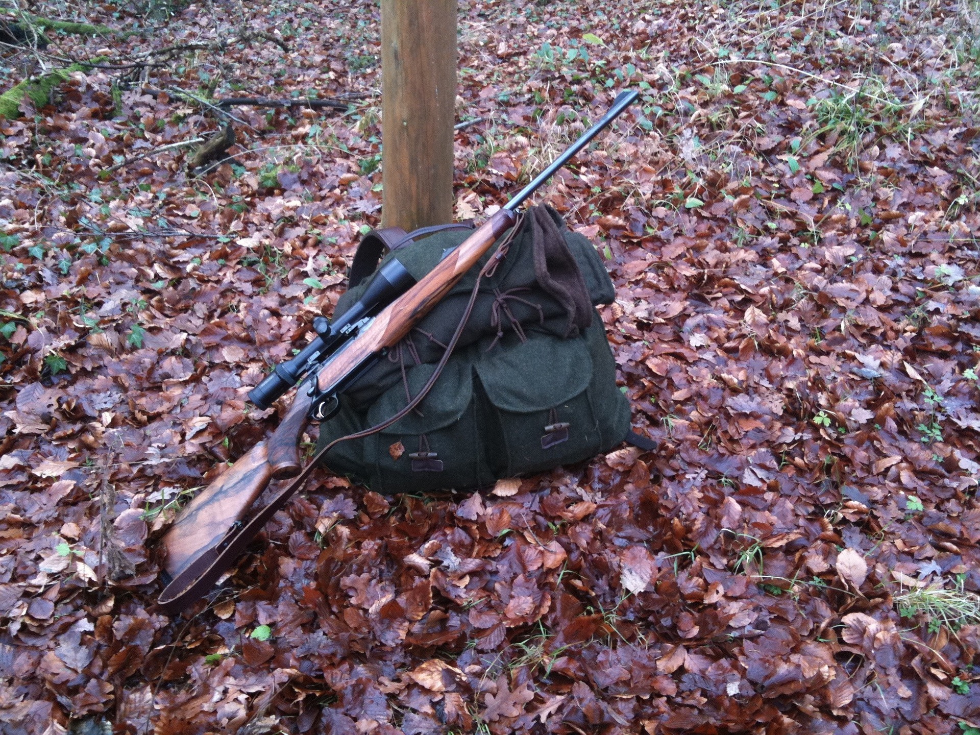 Das Gewehr eines Jägers liegt auf einem Rucksack an einen Baum im Wald gelehnt. Der Boden ist mit trockenem Laub bedeckt. 