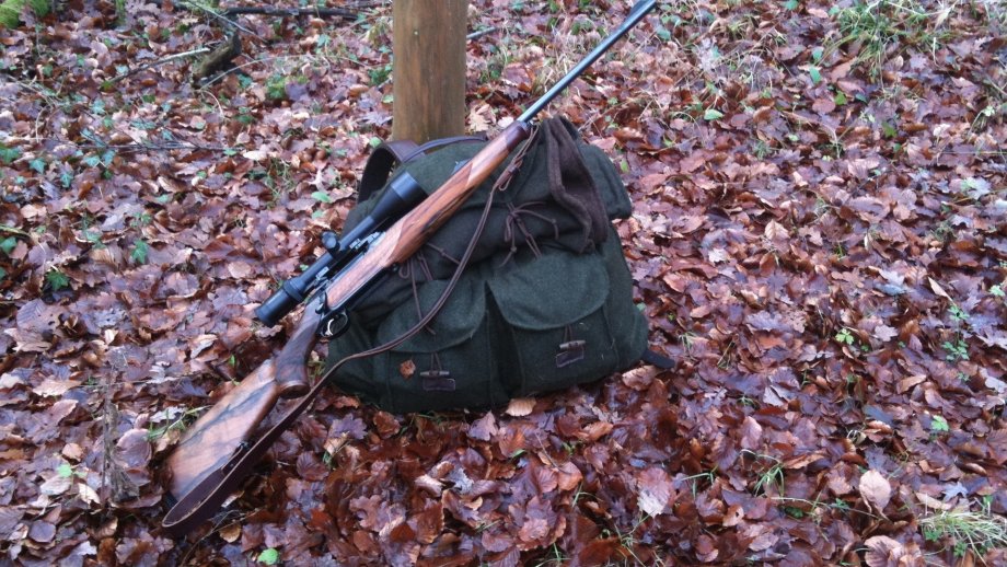 Das Gewehr eines Jägers liegt auf einem Rucksack an einen Baum im Wald gelehnt. Der Boden ist mit trockenem Laub bedeckt. 