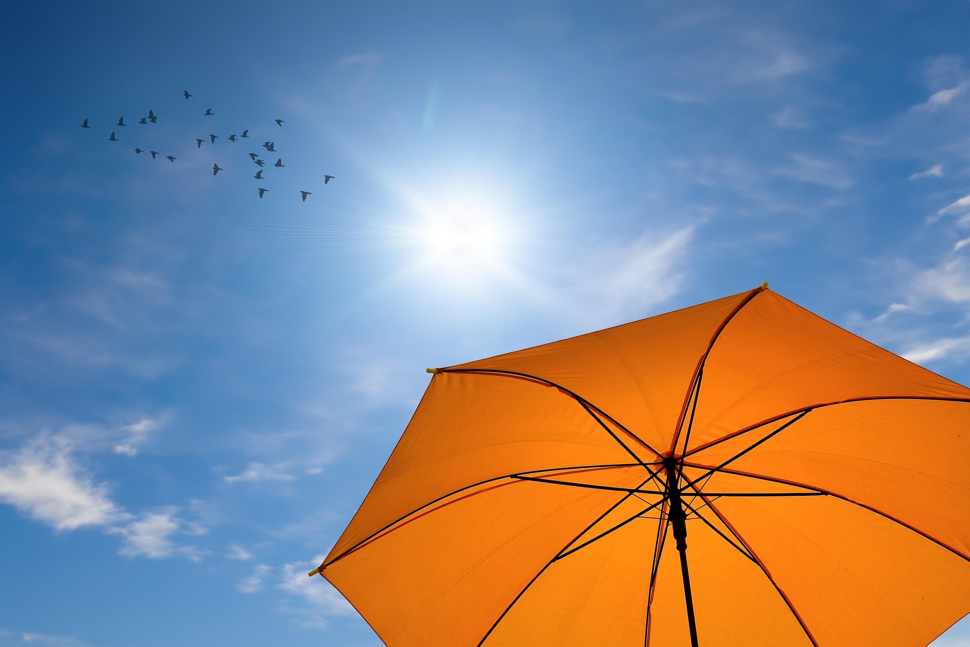 Sonne, blauer Himmel, Sonnenschirm
