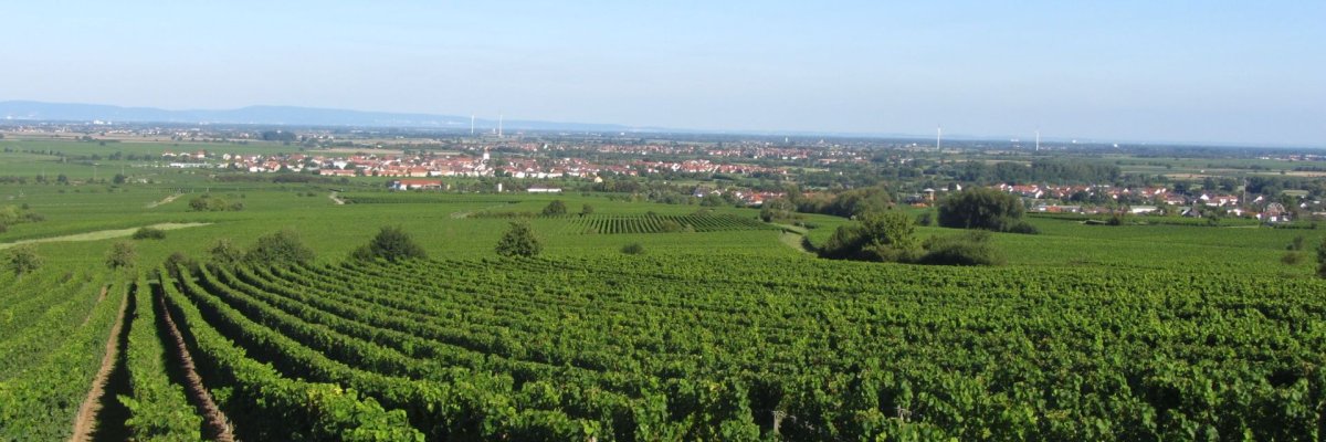 Auftaktveranstaltung Kreisentwicklung