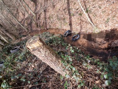 Autoreifen, die im Wald entsorgt wurden. 