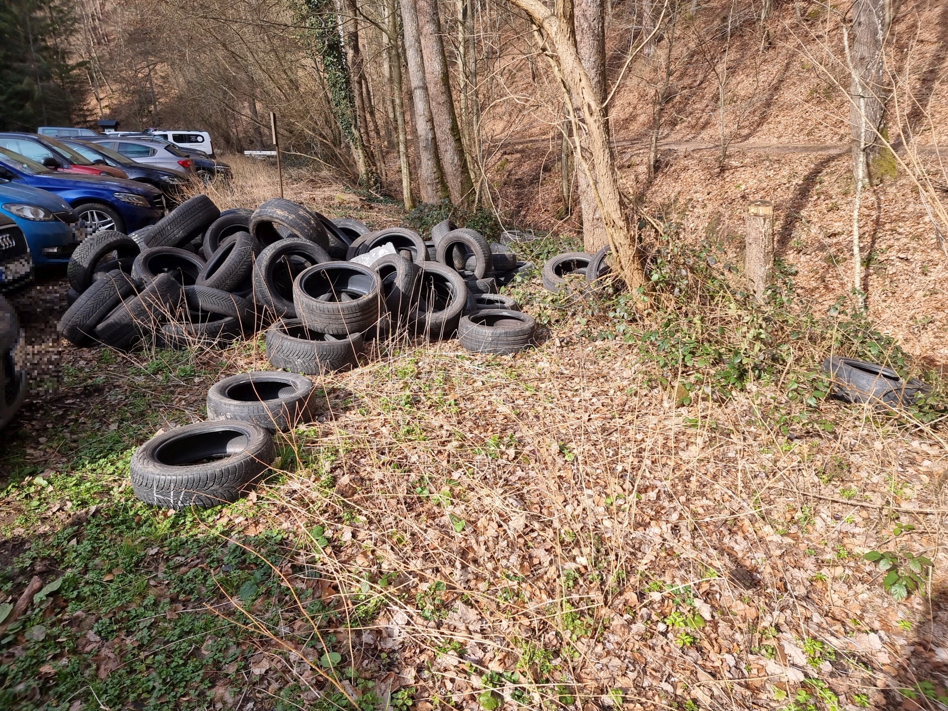 Autoreifen, die im Wald entsorgt wurden. 