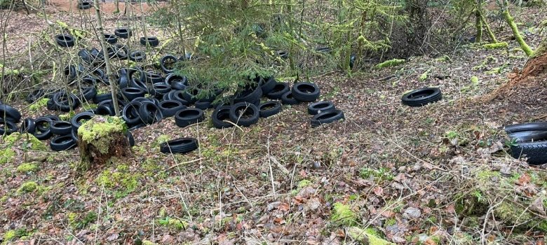 Autoreifen, die im Wald entsorgt wurden. 