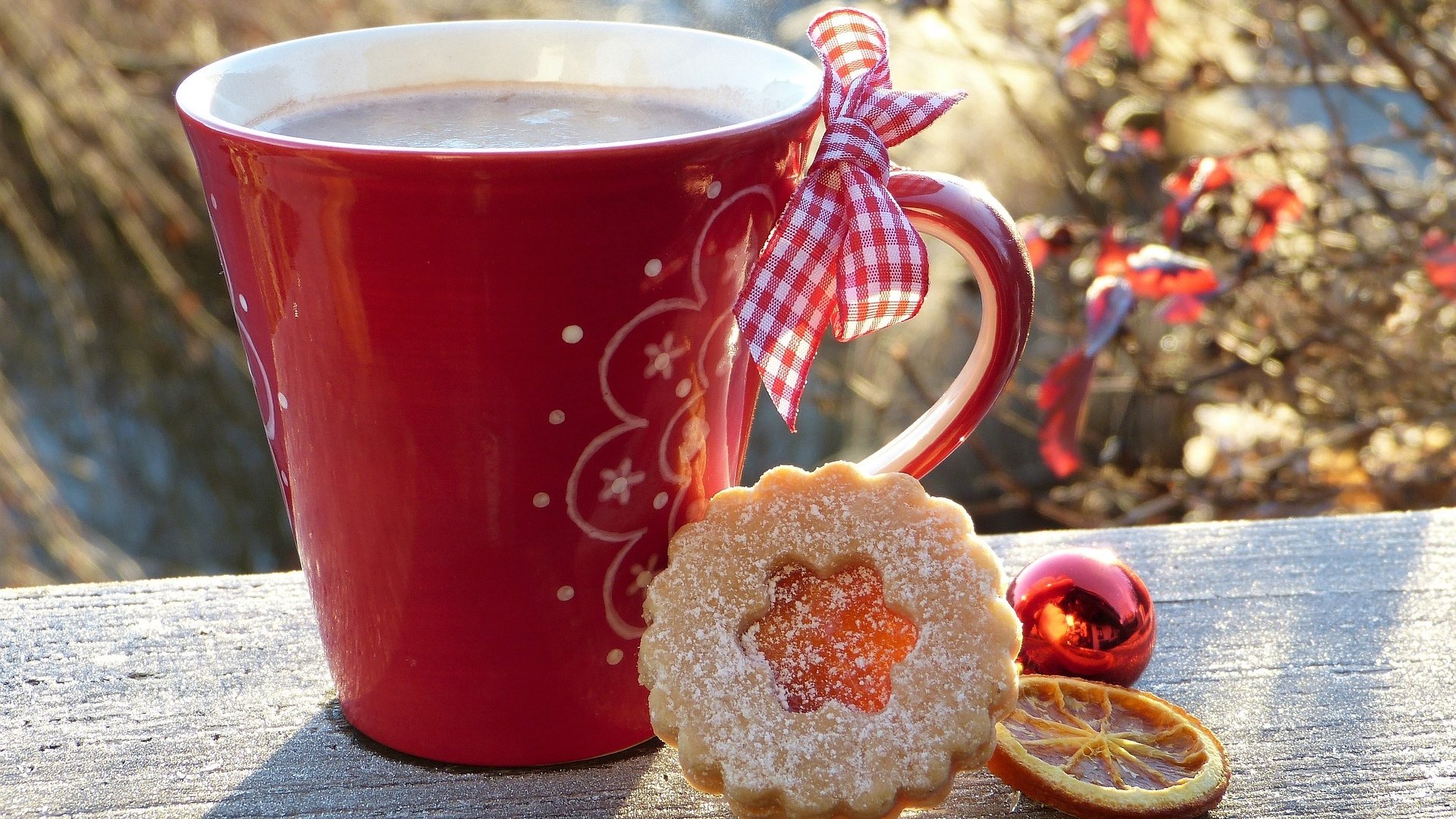 Eine rote Kaffeetasse, daneben Plätzchen, im Hintergrund leicht verschneite Äste.