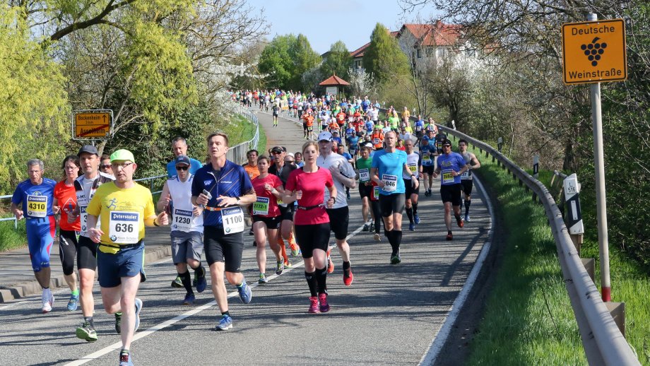 Viele Läufer auf einer Straße umgeben von Bäumen. 