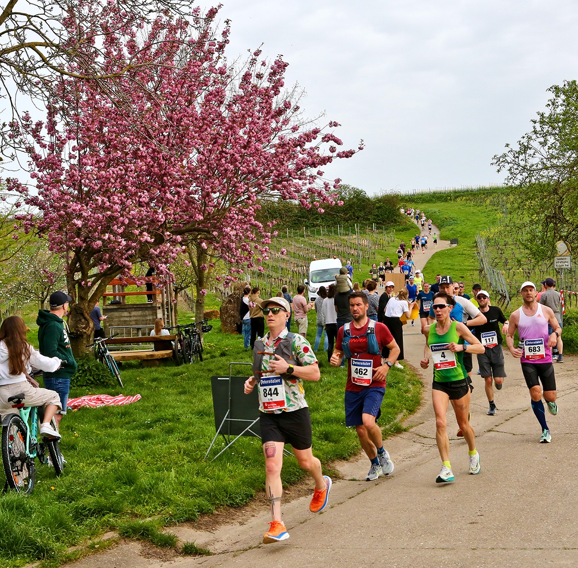 Marathonläufer auf einer Straße, daneben ein rosa blühender Mandelbaum.
