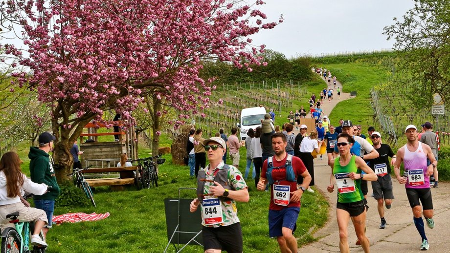 Marathonläufer auf einer Straße, daneben ein rosa blühender Mandelbaum.