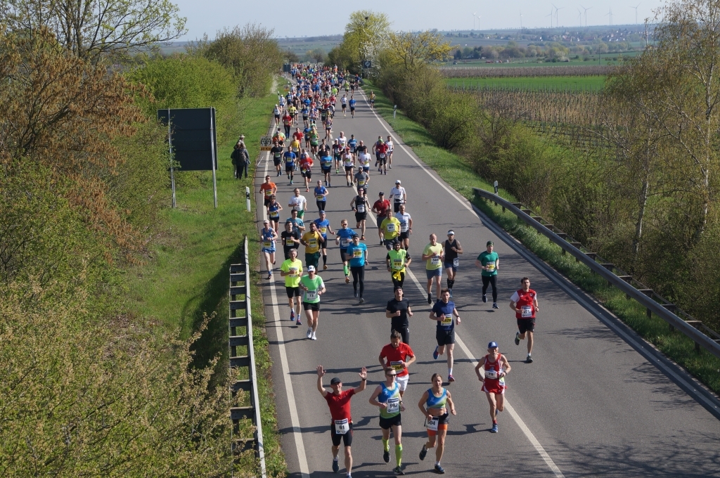 Viele Läufer mit Startnummern auf einer Straße, umgeben von hellgrünen Wiesen beim Marathon Deutsche Weinstraße.