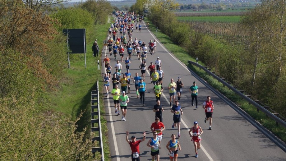 Viele Läufer mit Startnummern auf einer Straße, umgeben von hellgrünen Wiesen beim Marathon Deutsche Weinstraße. 