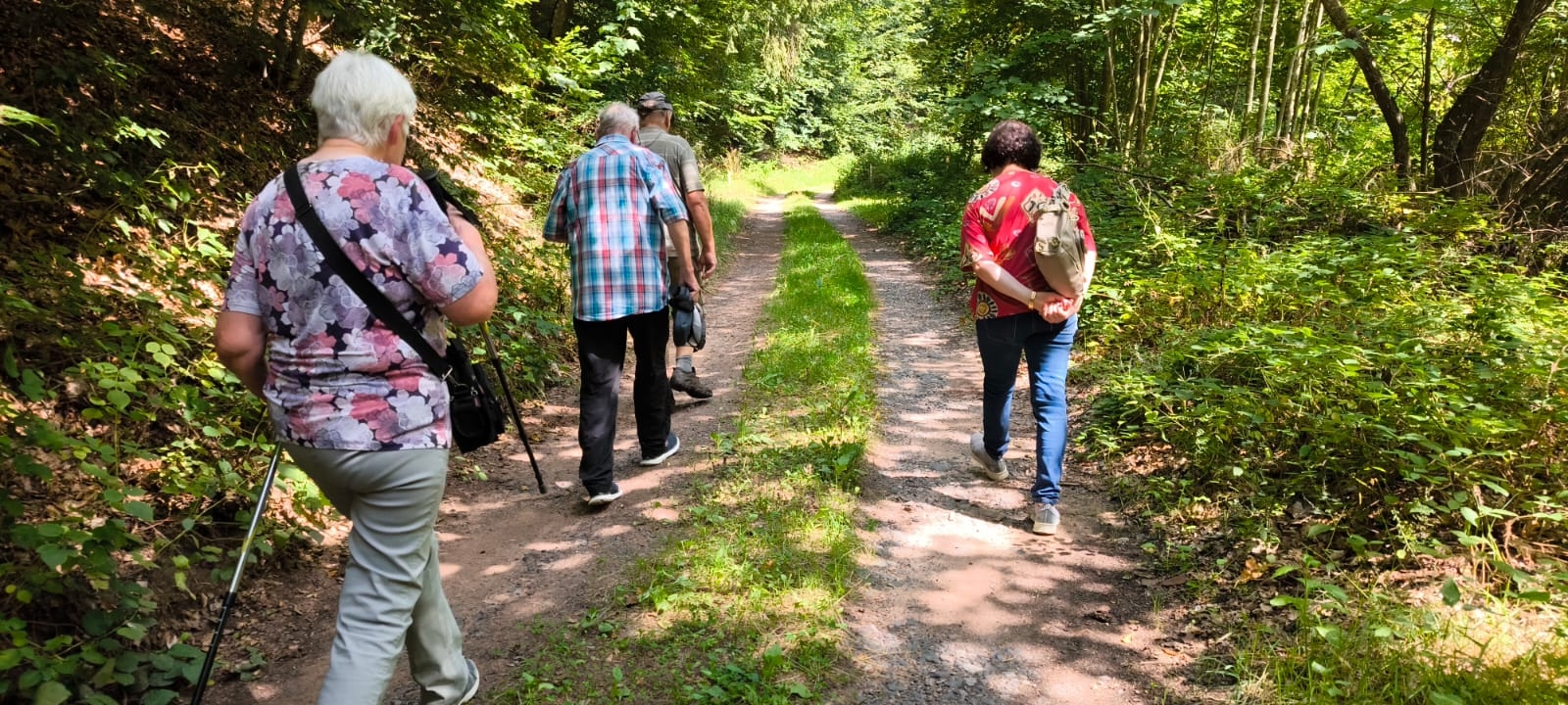 Wandernde Menschen im Wald