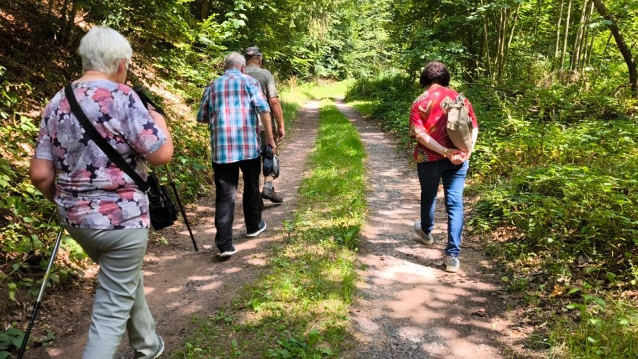 Wandernde Menschen im Wald