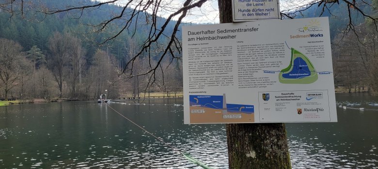 Ein Schild an einem Baum vor einem See.