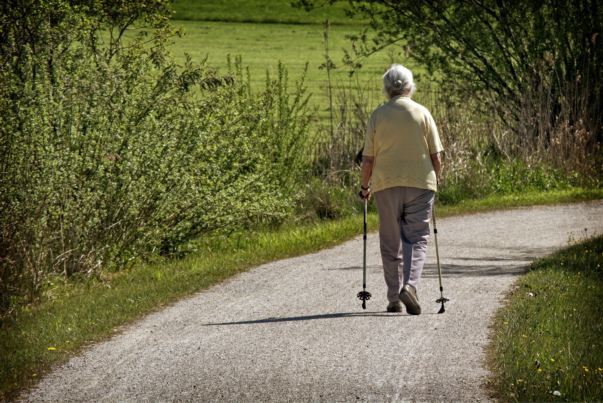 Eine ältere Frau, die von hinten zu sehen ist, läuft mit Walking-Stöcken einen asphaltierten Weg im Grünen entlang. 