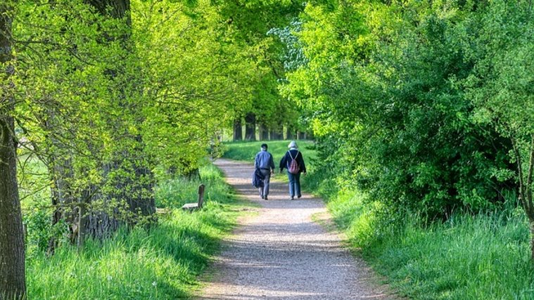 Eine ältere Frau und ein älterer Mann, die von hinten zu sehen sind, laufen einen Schotterweg im Grünen entlang. 