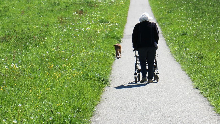 Eine ältere Frau, die von hinten zu sehen ist, läuft mit Rollator einen asphaltierten Weg im Grünen entlang. Ein Stückchen vor der Frau läuft ein brauner Hund. 