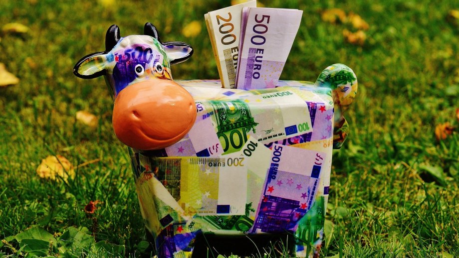 Ein Sparschwein in Form einer Kuh mit Geldscheinen.