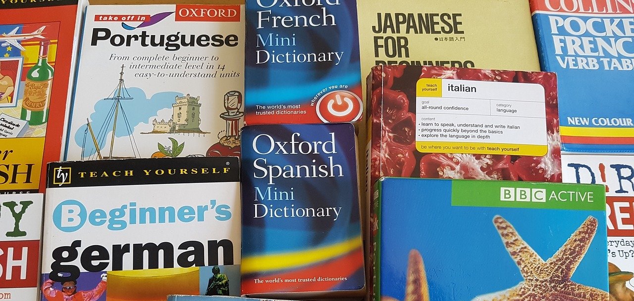 Verschiedene Sprachführer für Französisch, Spanisch, Portugiesisch, Deutsch oder Japanisch. 