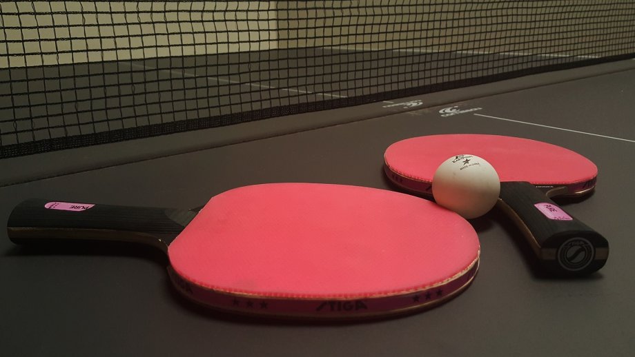 Zwei rot bespannte Tischtennisschläger und ein weißer Tischtennisball liegen auf einer Tischtennisplatte vor dem Netz. 