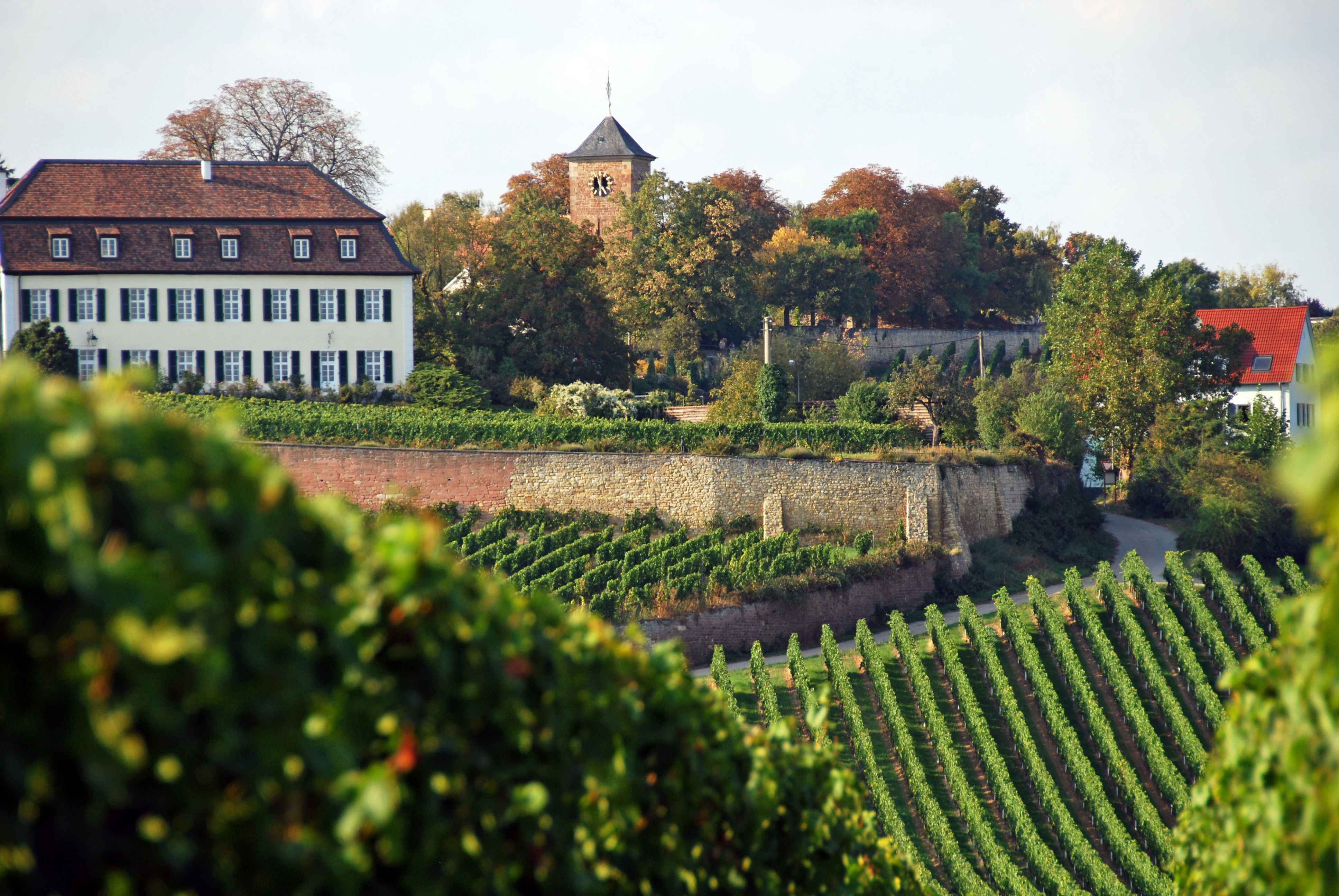 Blick auf Herxheim am Berg