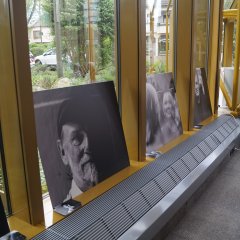 Großformatige Fotos stehen an eine Fensterfront gelehnt.