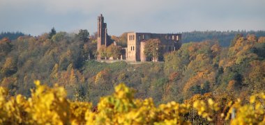Die Klosterruine Limburg, umrahmt von Herbstlaub. 