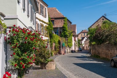 Eine schmale Straße in Forst, in der typische Sandsteinbauten stehen. 