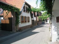 Eine Straße in Bobenheim am Berg mit von Laub umrankten Gebäuden. 